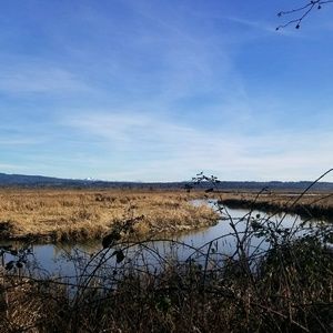 Meet your Posher, Danny